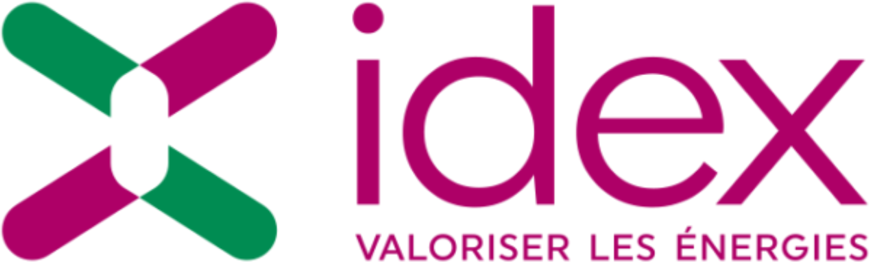 Logo Idex